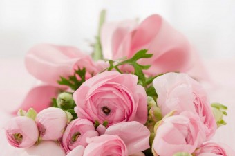 Assyscom - Fleuriste / Jardinerie - Fleuriste / Jardinerie