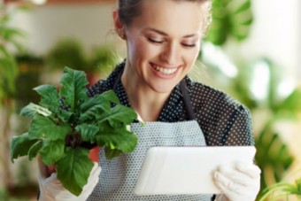 Assyscom - Fleuriste / Jardinerie - Logiciel OneTouch Fleuriste