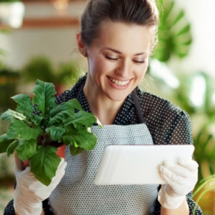 Logiciel OneTouch Fleuriste et Jardinerie